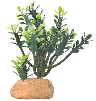 Hobby künstlicher Terrarium Kaktus / Kakteen Euphorbia M 16cm Terrarien Pflanze