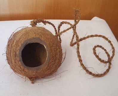 Kokosnuss voll mit Loch - Nisthöhle Schlafhöhle Höhle - Terraristik Vögel Nager
