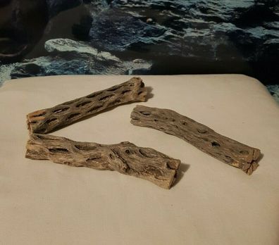 3x Vuka Holz 14-16cm - Wurzel für Aquarium, Terrarium, Garnelen, Reptilien, Deko