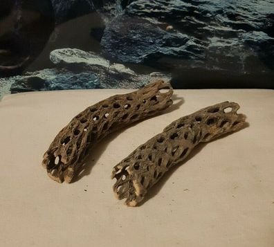 2x Cholla Wood 17x3,5x3,5cm + 16x3x3cm Höhle Reptilien, Welse Terrarium Aquarium