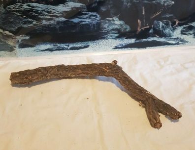 Zierkorkast Holz 50x15x8cm Korkast Korkstamm Korkeiche Reptilien, Terrarium