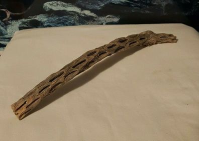 Vuka Holz 32,5x2x5cm - Wurzel für Aquarium, Terrarium, Garnelen, Reptilien, Deko