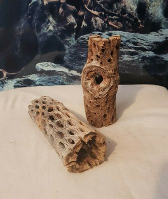 2x Vuka Holz 15cm - Wurzel für Aquarium, Terrarium, Garnelen, Reptilien, Deko