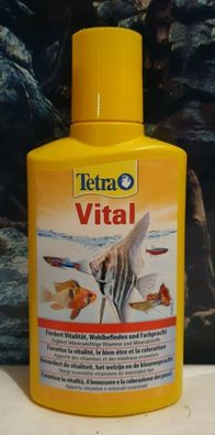 Tetra Vital 250ml - Fördert Vitalität, Wohlbefinden und Farbpracht Aquarium