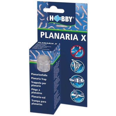Hobby Planaria X - besonders einfache und effektive Methode Planarien zu fangen