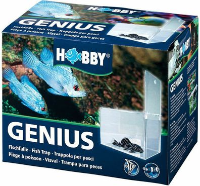 Hobby Genius Fischfalle - 21x13x15cm - mit Falltür für ideale Fangergebnisse