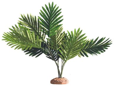 Hobby künstliche Terrarium Palme / Palm 60x40x55cm Terrarien Pflanze