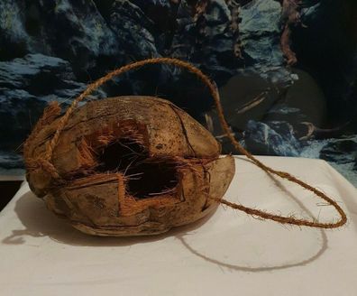 Kokosnuss Pflanzschale - Schale für Terrarien Pflanzen - Terraristik Reptilien