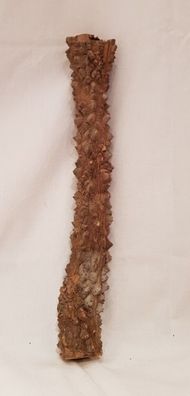 Warzenholz 41x5x5cm - Kletterholz Wurzel für Reptilien, Schlangen, Terrarium