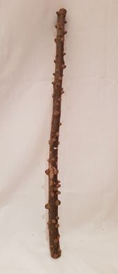 Warzenholz 60x3x3cm - Kletterholz Wurzel für Reptilien, Schlangen, Terrarium