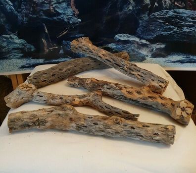 Vuka Holz big 28cm bis 32cm Wurzel für Reptilien, Garnelen, Terrarium, Aquarium