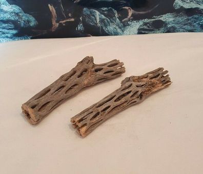 2x Vuka Holz 16cm - Wurzel für Aquarium, Terrarium, Garnelen, Reptilien, Deko