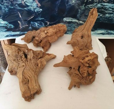 Opuwa Wurzel Medium 15cm bis 25cm - Natur Holz für Terrarium Aquarium