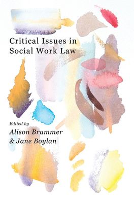 Critical Issues in Social Work Law, Alison Brammer