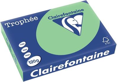 Clairefontaine Trophée 1228C naturgrün 120g/ m² DIN-A4 - 250 Blatt