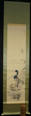 Zwei Enten Japanisches Rollbild Kakejiku Kakemono Japan Hanging Scroll 5959