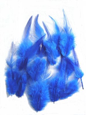 circa 30 Stück Federn royalblau zum Basteln Deko 6-10cm DIY Z p