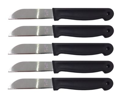 Obstmesser 5er-Set Schälmesser Gemüsemesser Küchenmesser Messerset rostfrei