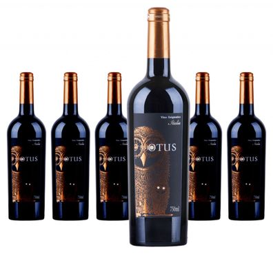 6 x Asio Otus Rosso Vino Varietale d'Italia