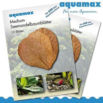 Aquamax 2 x Medium Seemandelbaumblätter (Terminalia Catappa Leaves)