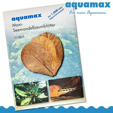 Aquamax Maxi Seemandelbaumblätter (Terminalia Catappa Leaves)