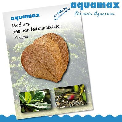 Aquamax Medium Seemandelbaumblätter (Terminalia Catappa Leaves)