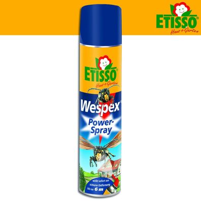 Frunol Delicia ETISSO® 600ml Wespex Power-Spray Bekämpfung Haus Terrasse Wespen