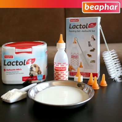 Beaphar-Set: Lactol Aufzucht Set (8-teilig) + 250 g Auzucht-Milch für Hunde