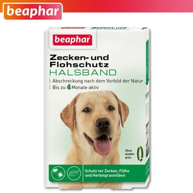 Beaphar 1 x Zecken- und Flohschutz Halsband für Hunde | 65 cm | 4 Monate wirksam