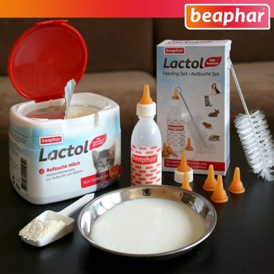 Beaphar-Set: Lactol Aufzucht Set (8-teilig) + 250 g Auzucht-Milch für Katzen