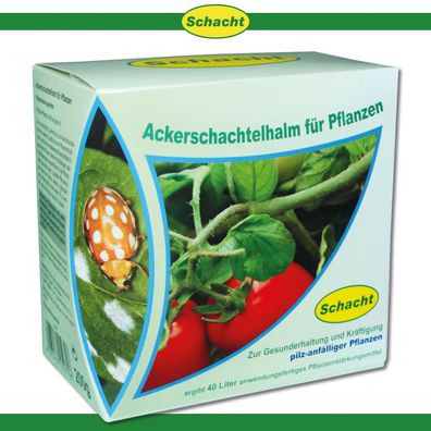 Schacht 200 g Ackerschachtelhalm für Pflanzen Stärkung Pilze Gemüse Blumen Obst