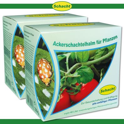 Schacht 2x 200 g Ackerschachtelhalm Pflanzen Wachstum Nährstoffe Pflege Gemüse