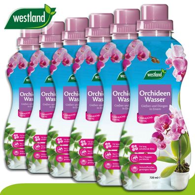 Westland 6 x 720 ml Orchideen Wasser »Die Nr 1 in England für den Garten«