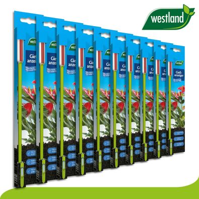 Westland 10 Stück Gießanzeiger groß (26 cm) | apfelgrün