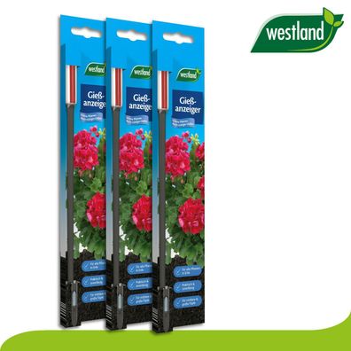 Westland 3 Stück Gießanzeiger groß (26 cm) | anthrazit Pflege Garten Bewässerung