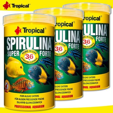 Tropical 3 x 1000 ml Spirulina Super Forte 36% für Algen fressende Fische