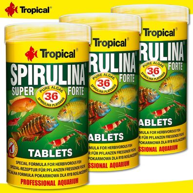 Tropical 3 x 250 ml Spirulina Super Forte Tablets für Pflanzen fressende Fische