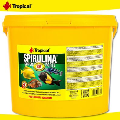 Tropical 5 l Spirulina Super Forte 36% für Algen fressende Fische