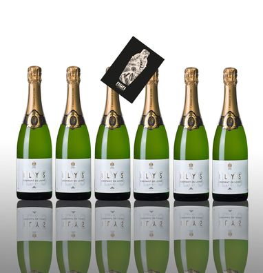 Ilys Brut 6er Set Cremant de Loire 6x 0,75L (12,5% Vol) Frankreich- [Enthält Su