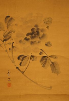 Pfingstrose Japanisches Rollbild Bildrolle Kunst Kakemono Gemälde Malerei 5208