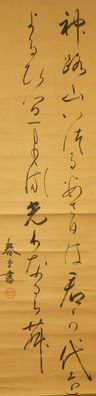Kalligrafie Japanisches Rollbild Kunst Kakemono Gemälde Handmalerei Japan 5249