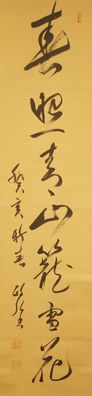 Kalligrafie Japanisches Rollbild Kunst Kakemono Gemälde Kalligraphie 5182
