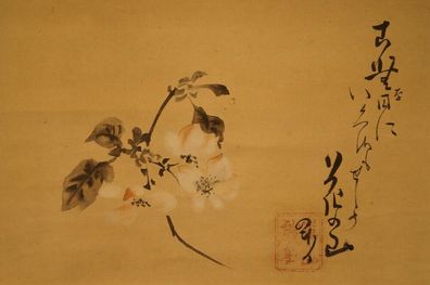 Sakura Japanisches Rollbild Bildrolle Kunst Kakemono Gemälde Malerei 5227