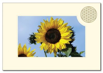 Klappkarte BdL "Sonnenblume" 11,5x16,7cm (mit Kuvert B6)