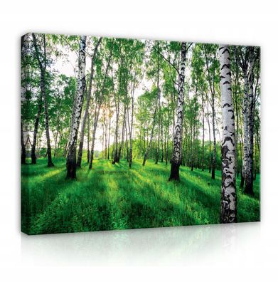 Leinwandbild Wald Natur Wandbilder Wandbild XXL Canvas Leinwand Bilder Wohnzimmer