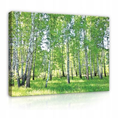 Leinwandbild Natur Wald Wandbilder Wandbild XXL Canvas Leinwand Bilder Wohnzimmer