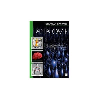 Bildatlas Biologie. DVD 01 Anatomie DVD