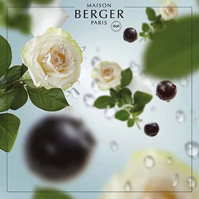 Parfum Berger Nachfüllpackung für Bouquet Duft Ora