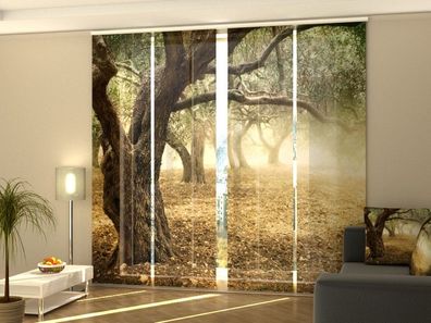 Foto-Schiebegardine Olivenbaum, Flächenvorhang mit Motiv, Fotodruck, auf Maß