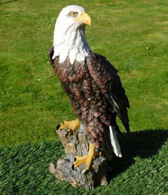 Gartenfigur Adler Greifvogel 9240 Weißkopfseeadler 42cm Garten lebensecht